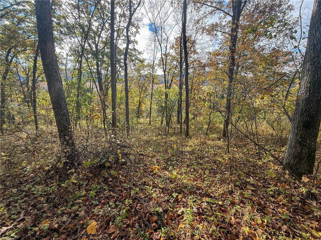 tbd County 26 Houston MN 55943 - ROOT RIVER 7037151 image39