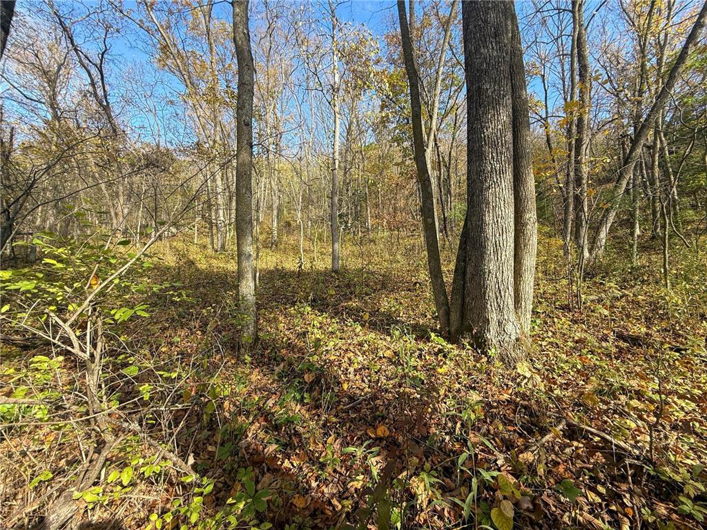 tbd County 26 Houston MN 55943 - ROOT RIVER 7037151 image40