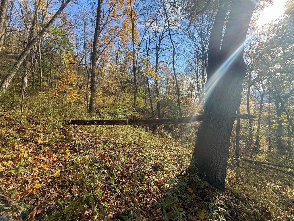 tbd County 26 Houston MN 55943 - ROOT RIVER 7037151 image41