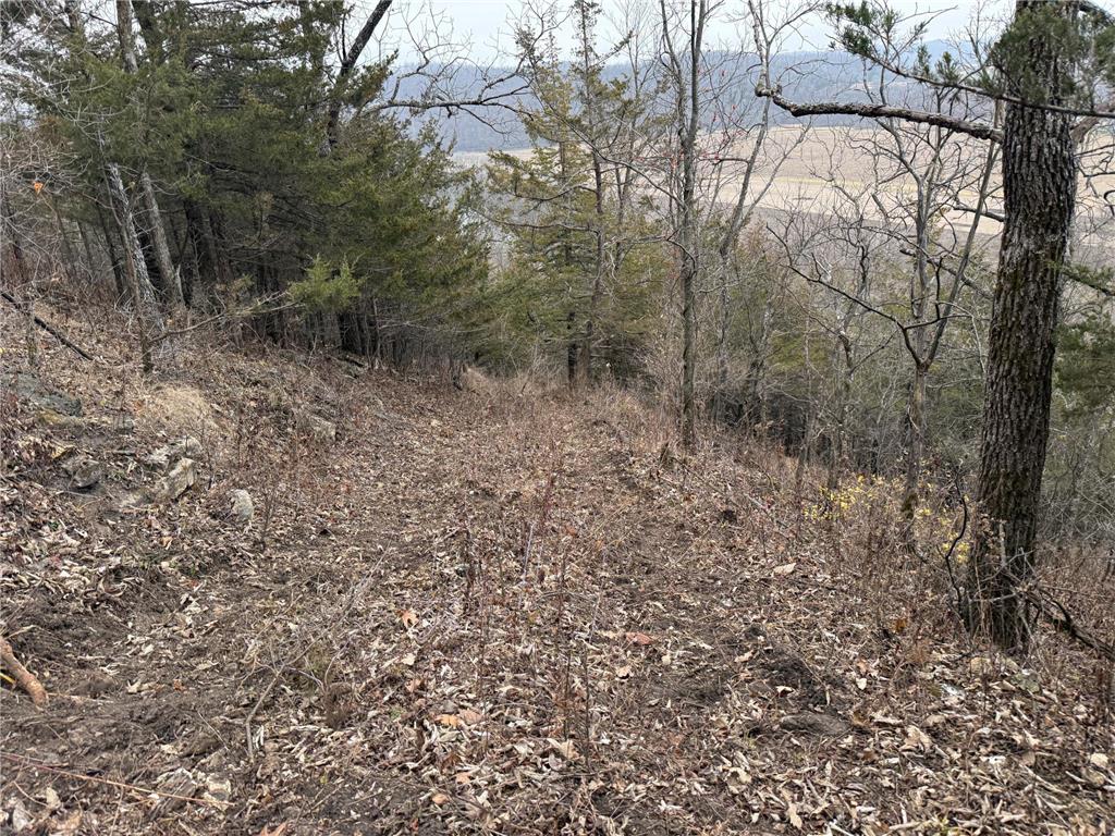 tbd County 26 Houston MN 55943 - ROOT RIVER 7037151 image8