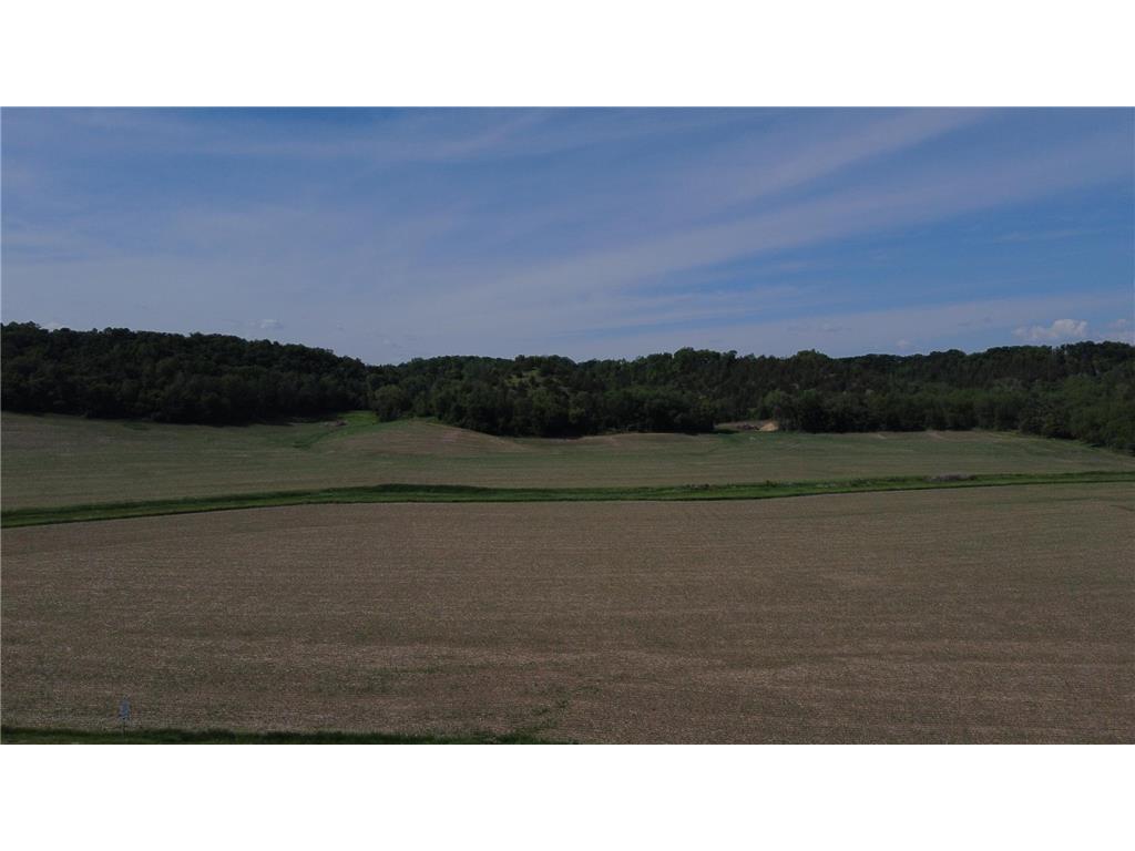 tbd County 5 Boulevard Hay Creek Twp MN 55066 7085763 image10
