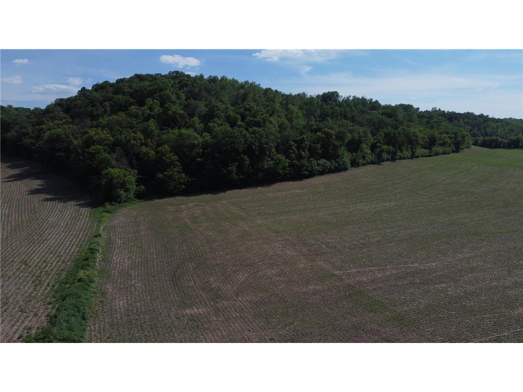 tbd County 5 Boulevard Hay Creek Twp MN 55066 7085763 image11