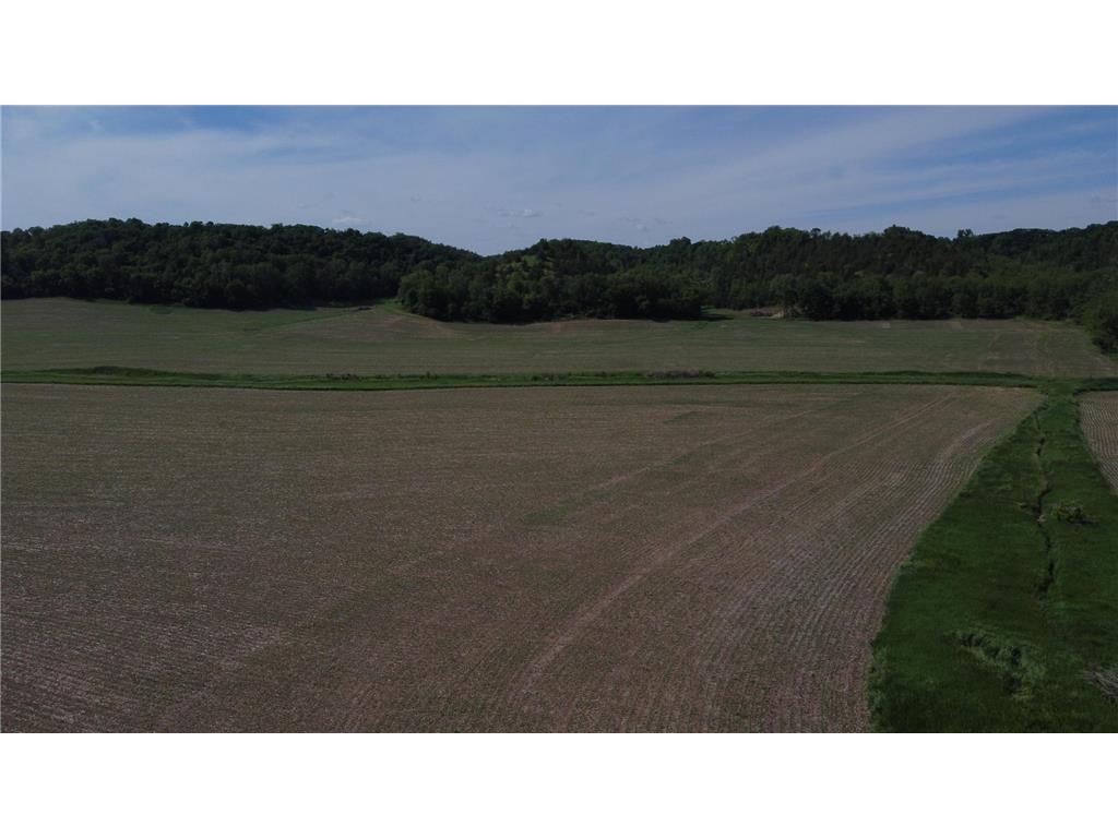 tbd County 5 Boulevard Hay Creek Twp MN 55066 7085763 image13