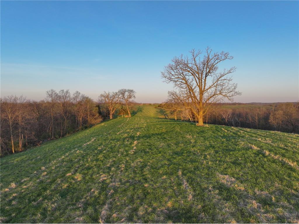 tbd County 6 La Crescent MN 55947 7060238 image10