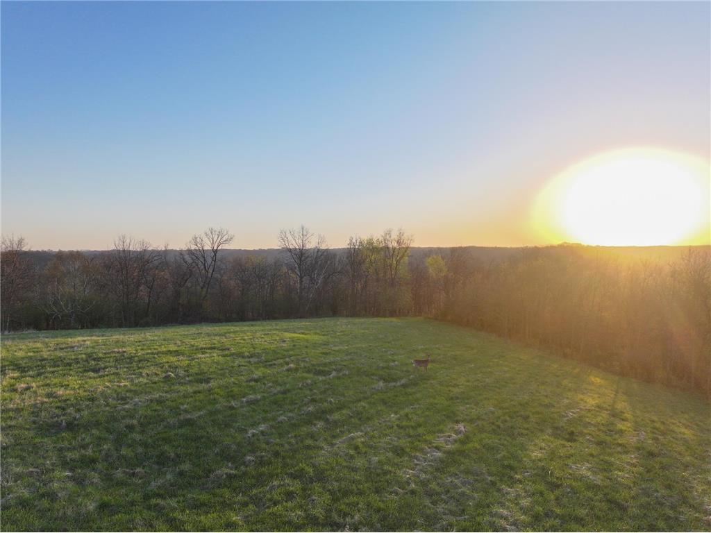 tbd County 6 La Crescent MN 55947 7060238 image11