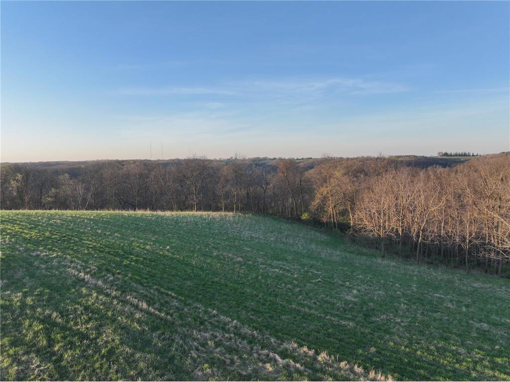 tbd County 6 La Crescent MN 55947 7060238 image16