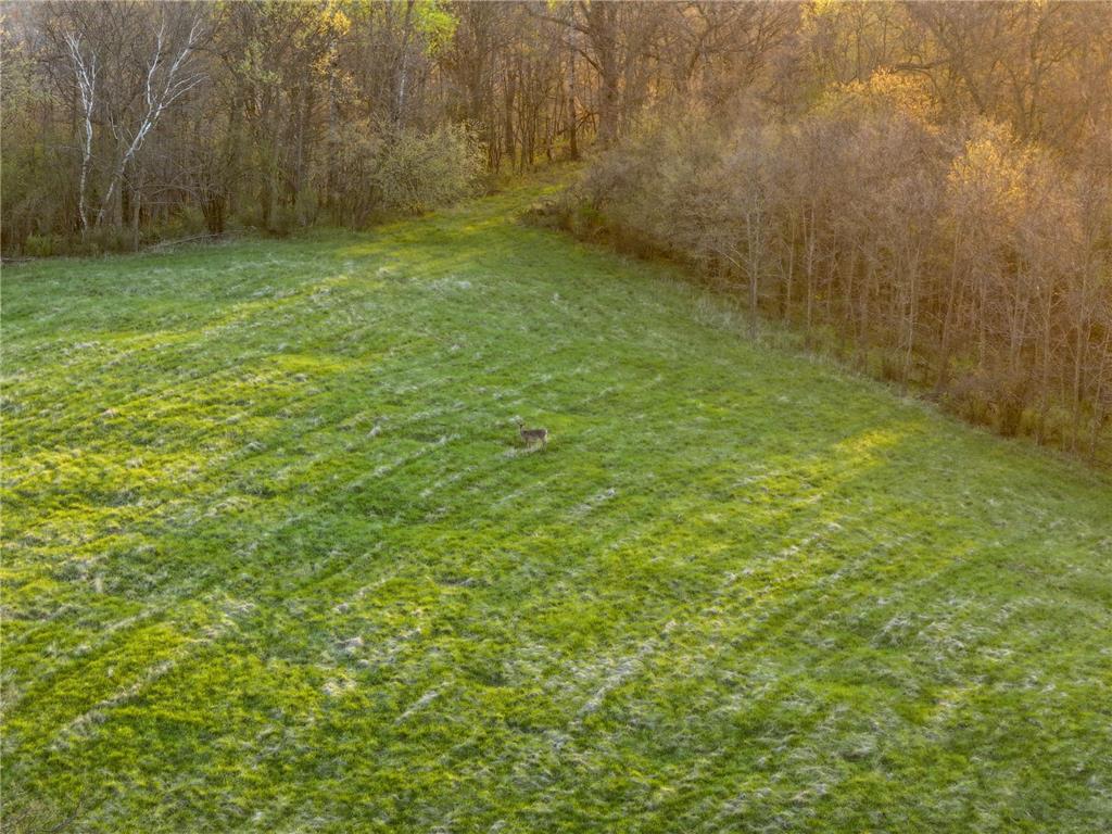 tbd County 6 La Crescent MN 55947 7060238 image19