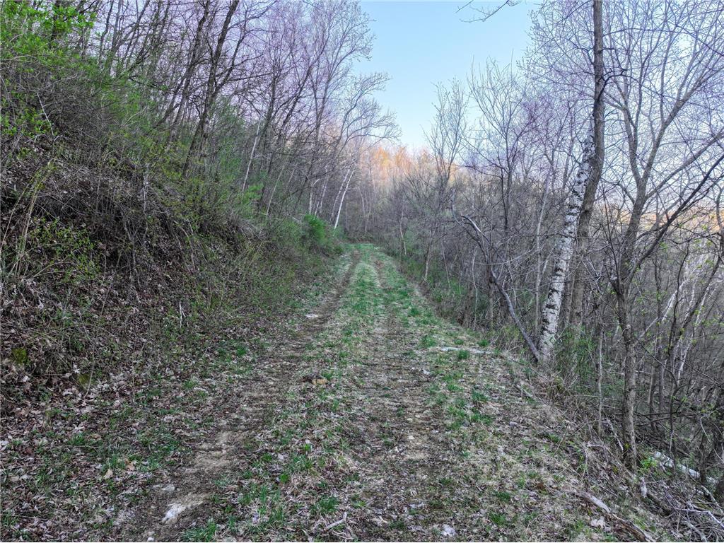 tbd County 6 La Crescent MN 55947 7060238 image21