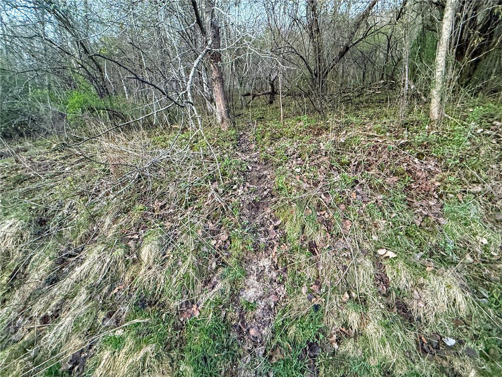 tbd County 6 La Crescent MN 55947 7060238 image27