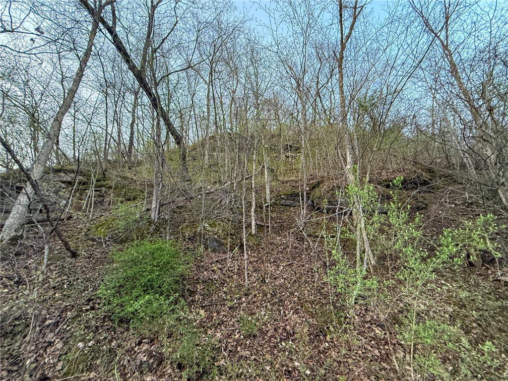 tbd County 6 La Crescent MN 55947 7060238 image29