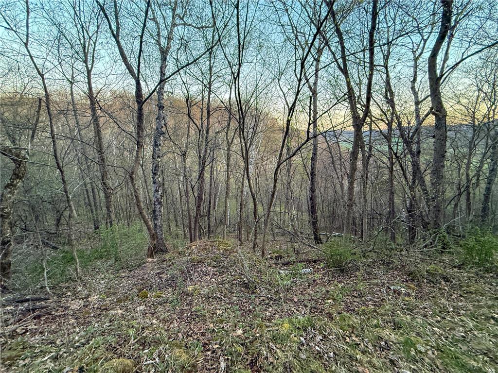 tbd County 6 La Crescent MN 55947 7060238 image31