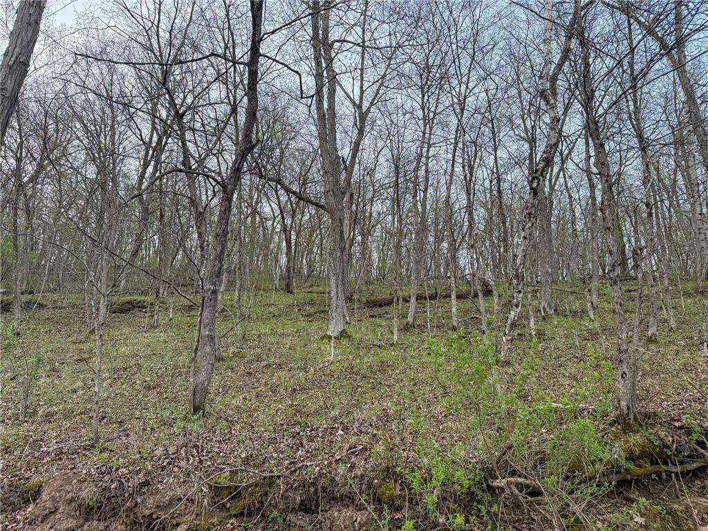 tbd County 6 La Crescent MN 55947 7060238 image32