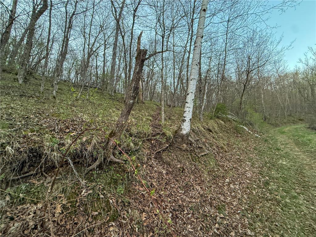 tbd County 6 La Crescent MN 55947 7060238 image33