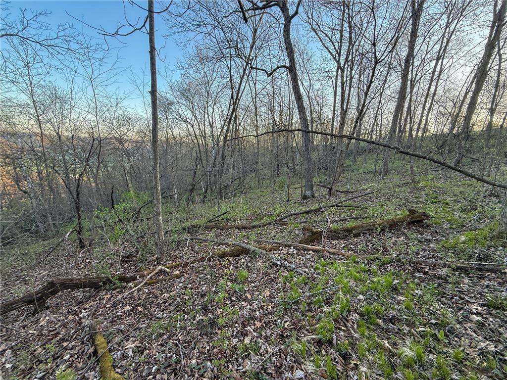 tbd County 6 La Crescent MN 55947 7060238 image38