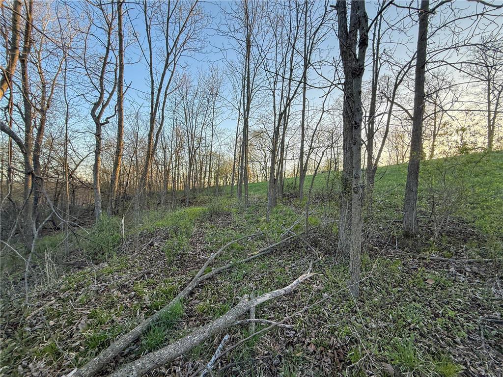 tbd County 6 La Crescent MN 55947 7060238 image39