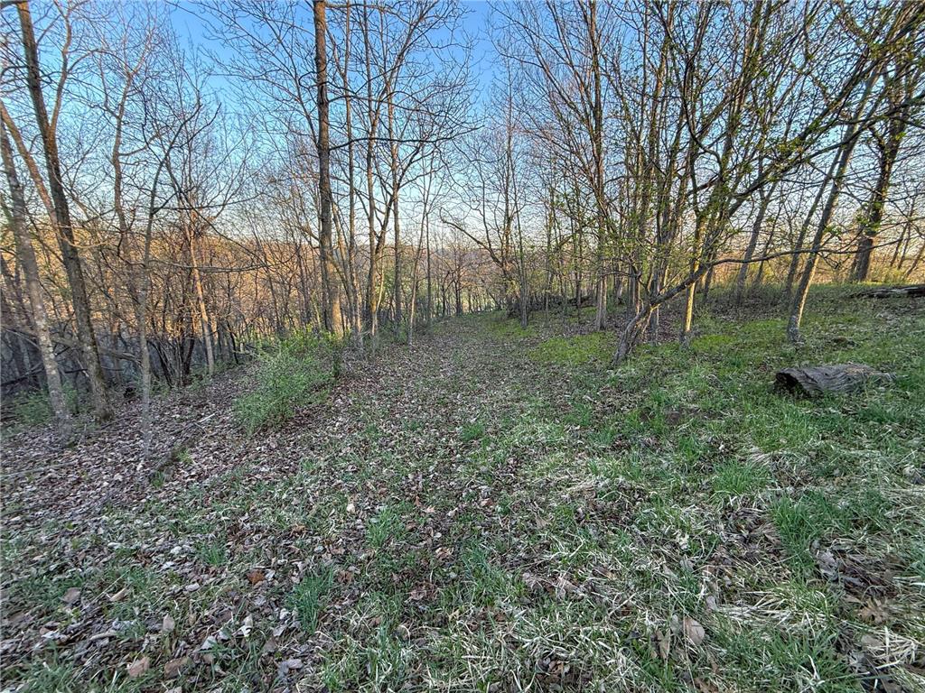 tbd County 6 La Crescent MN 55947 7060238 image40