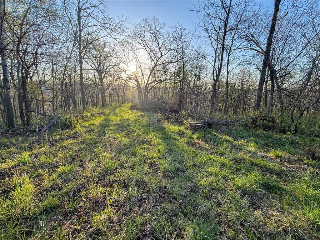 tbd County 6 La Crescent MN 55947 7060238 image41