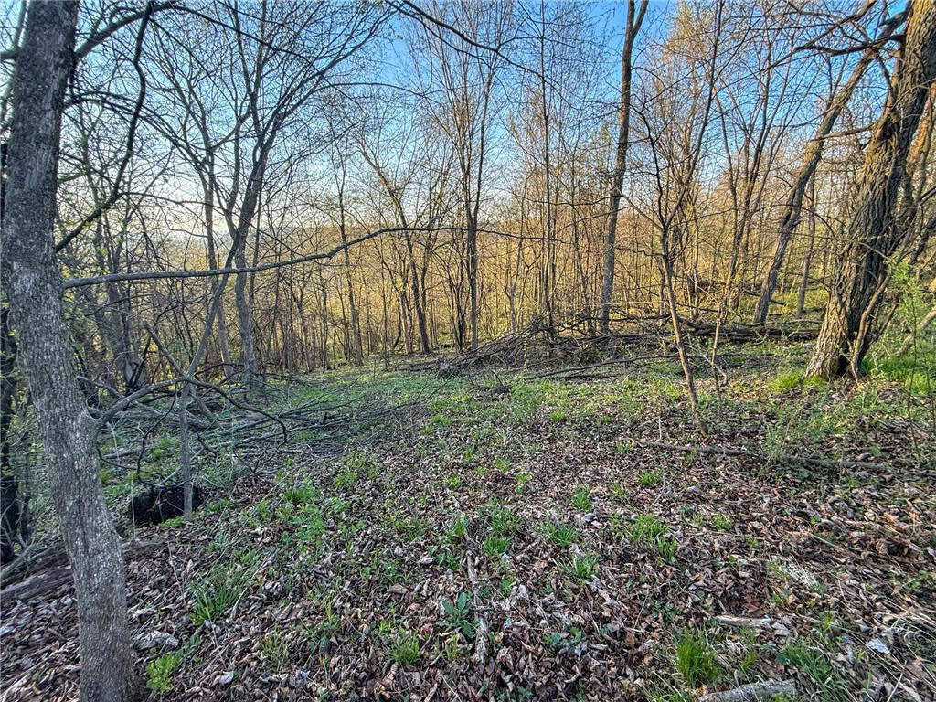 tbd County 6 La Crescent MN 55947 7060238 image42
