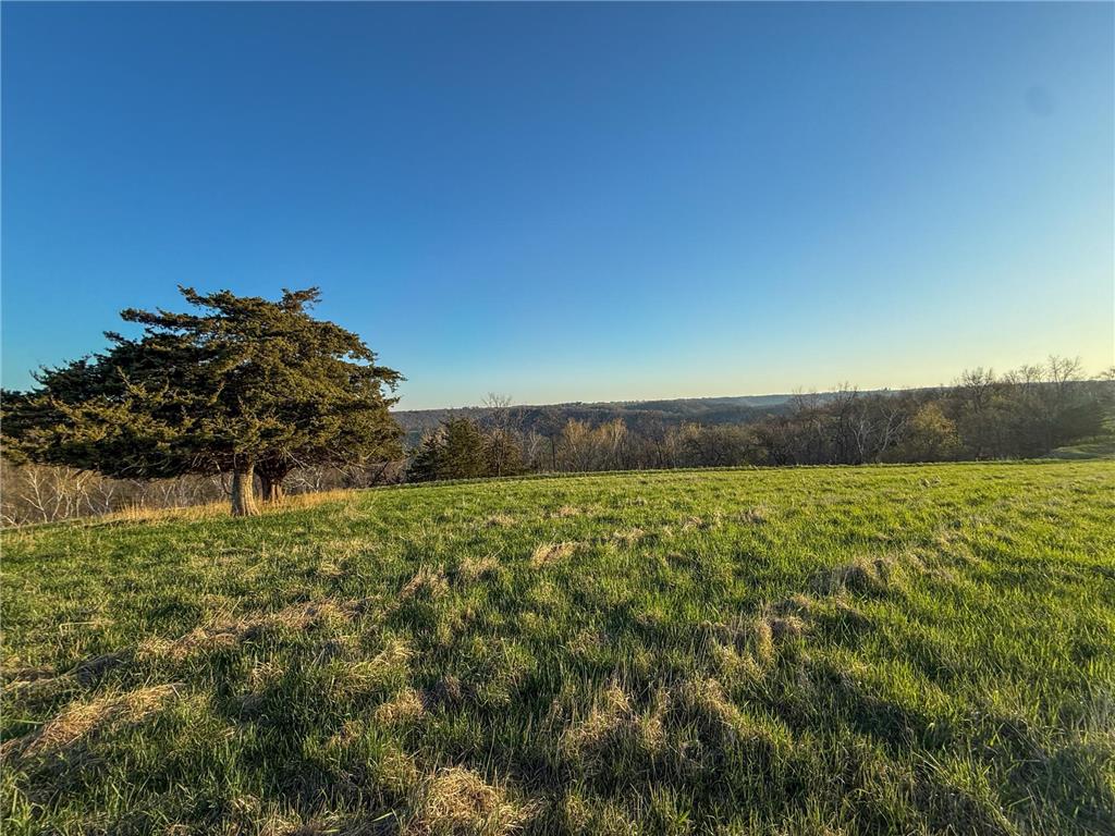 tbd County 6 La Crescent MN 55947 7060238 image49