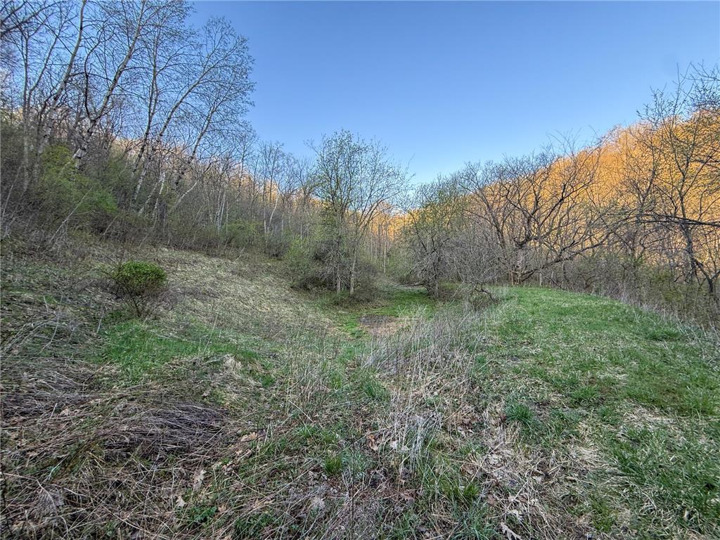 tbd County 6 La Crescent MN 55947 7060238 image51