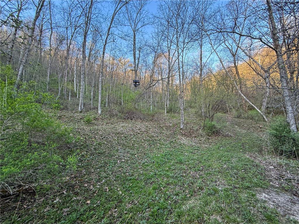 tbd County 6 La Crescent MN 55947 7060238 image52