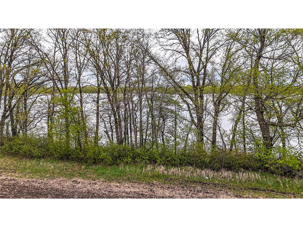 tbd County Rd 4 Candor Twp MN 56587 - East Loon 7077455 image11