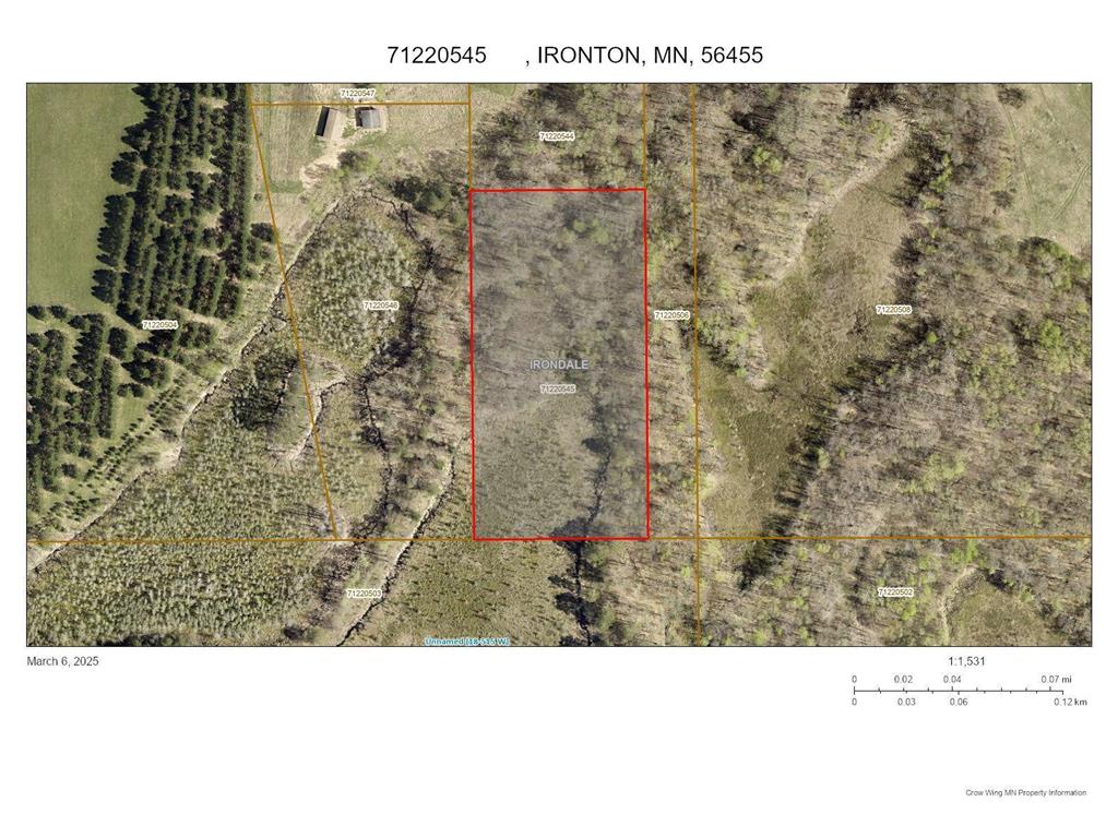 Parcel F County Road 12 Irondale Twp MN 56455 6680945 image2