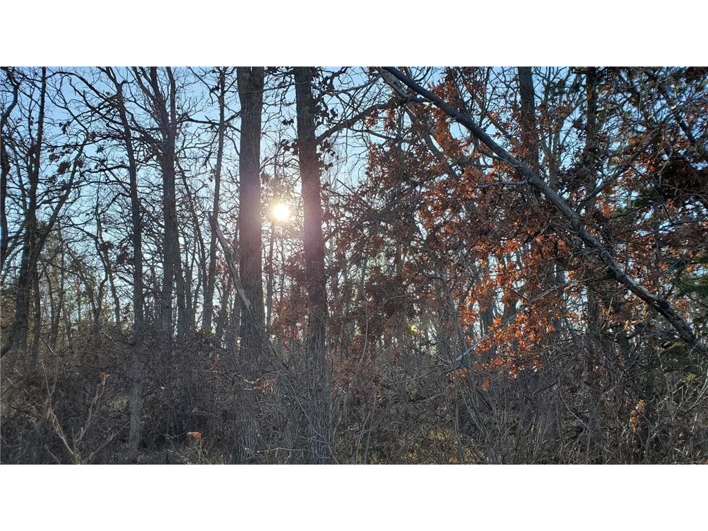 tbd Division Street Bemidji MN 56601 6818573 image1