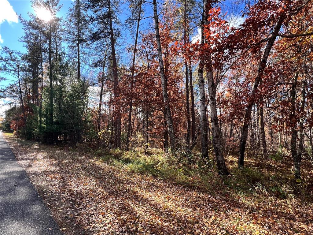 tbd E Clark Lake Road Nisswa MN 56468 6807132 image3