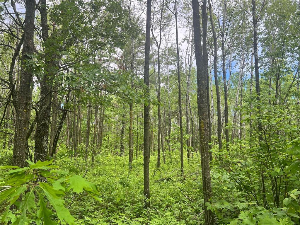 tbd Emmas Pass SW Loon Lake Twp MN 56472 6523003 image1