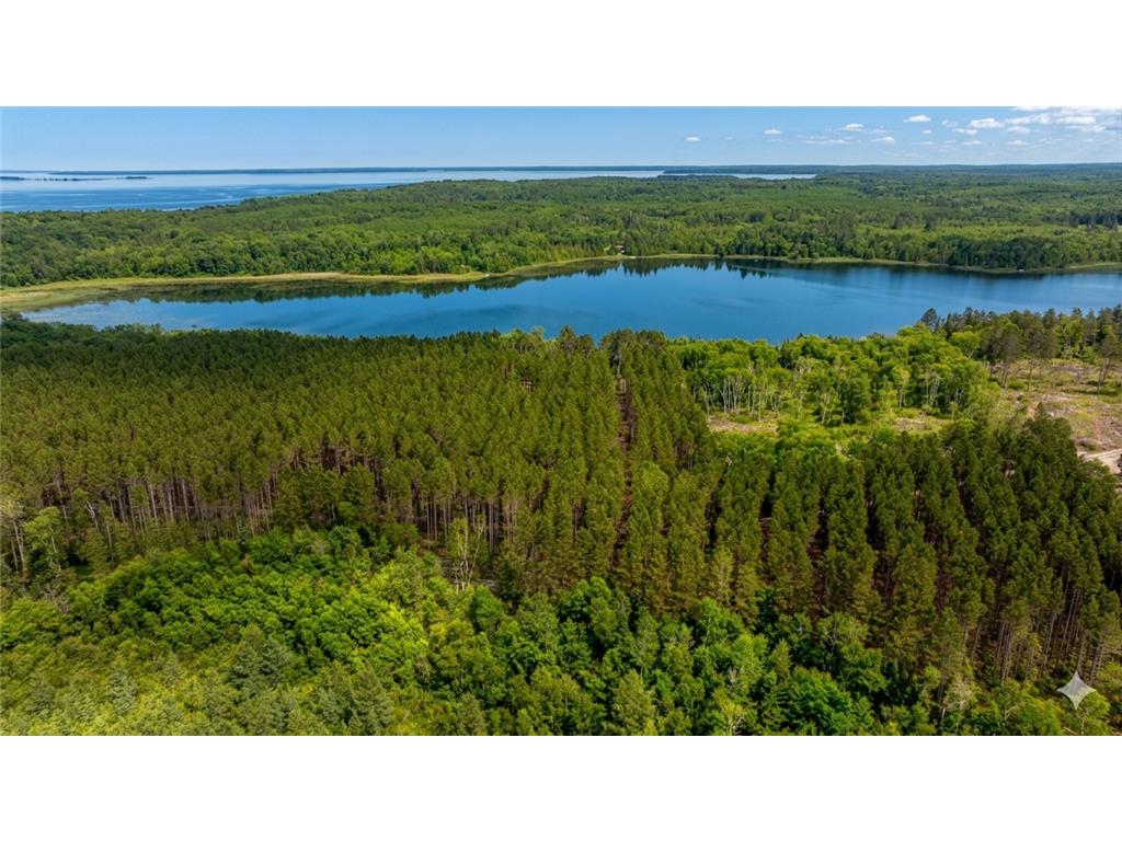 tbd FS2666 Walker MN 56484 - Jack Lake 7078106 image1