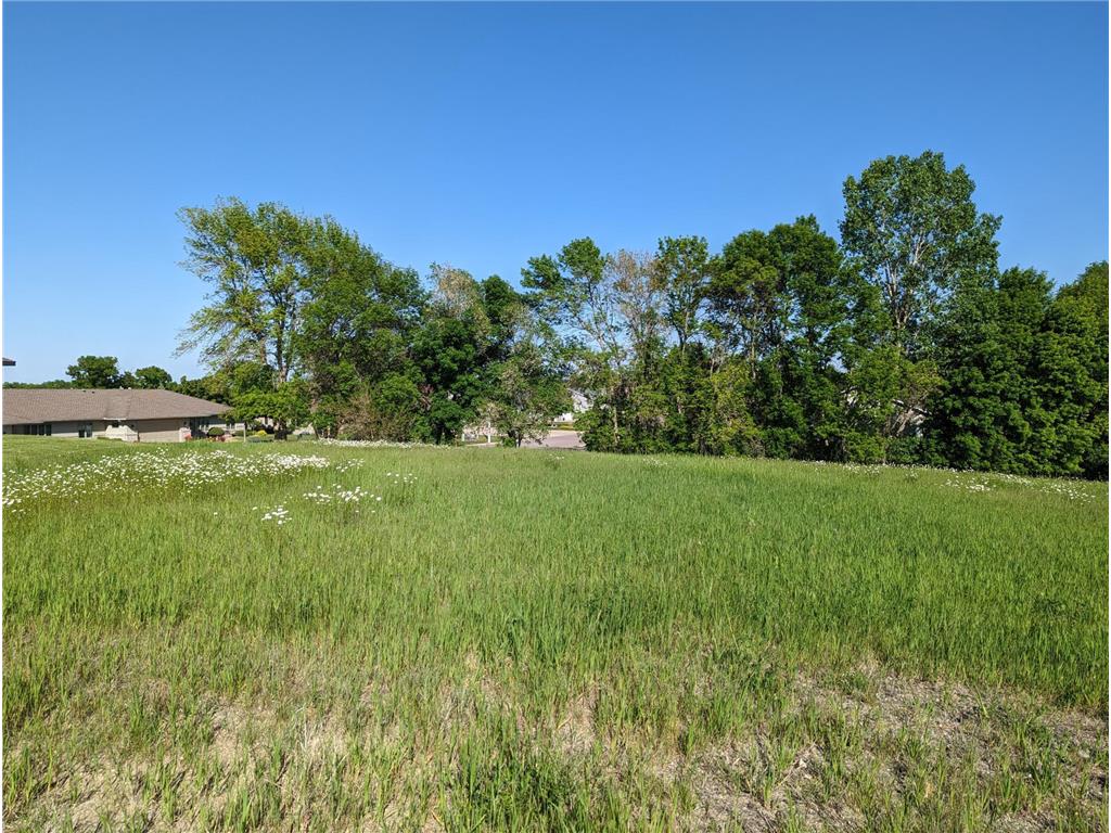 tbd Lake Chapeau Drive, Albert Lea, MN, 56007 MLS 6378049 Edina Realty