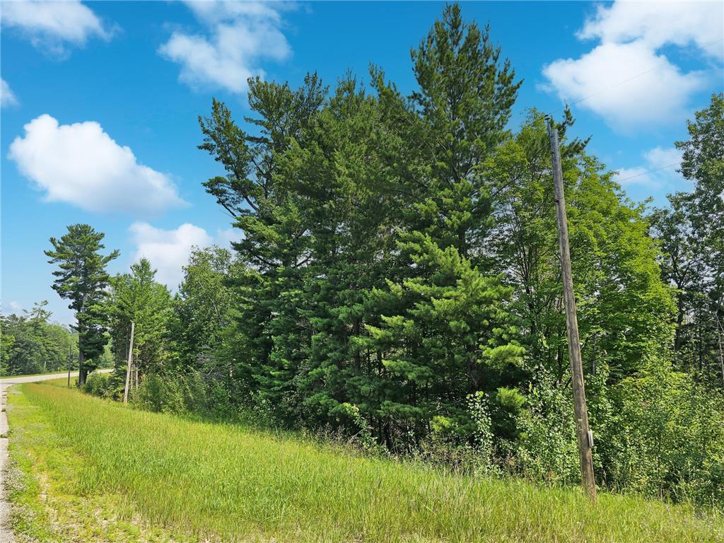 tbd Lower Ten Mile Lake Rd NW Hackensack MN 56452 - Birch Lake 6761268 image2