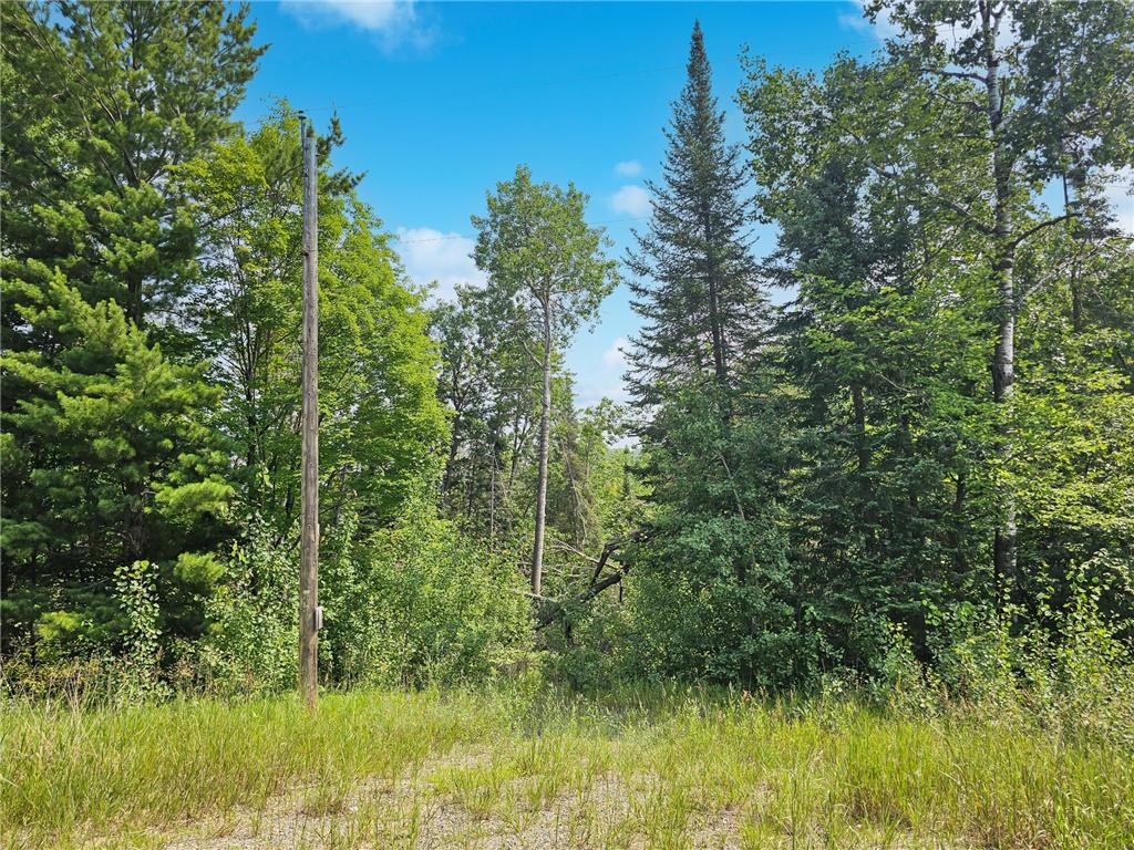 tbd Lower Ten Mile Lake Rd NW Hackensack MN 56452 - Birch Lake 6761268 image3