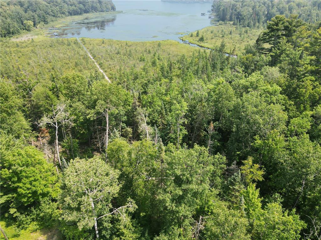 tbd Lower Ten Mile Lake Rd NW Hackensack MN 56452 - Birch Lake 6761268 image7