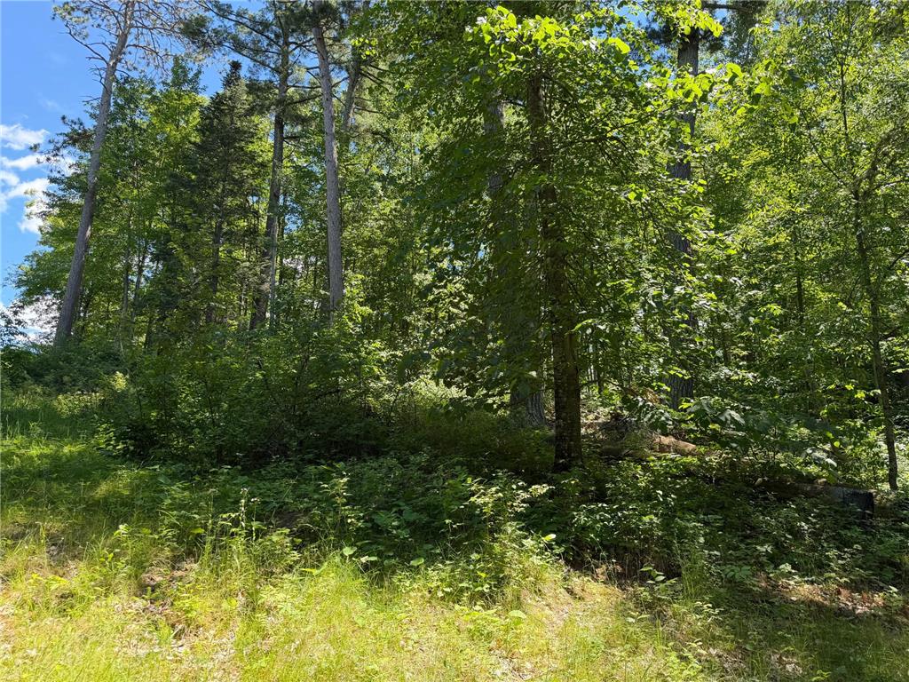 tbd Muskie Bay Road NE Wabedo Twp MN 56655 - Wabedo 7085591 image10