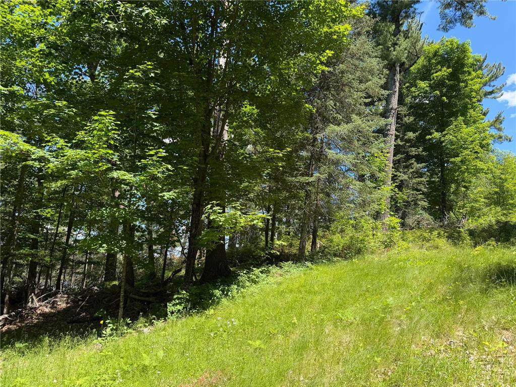 tbd Muskie Bay Road NE Wabedo Twp MN 56655 - Wabedo 7085591 image11