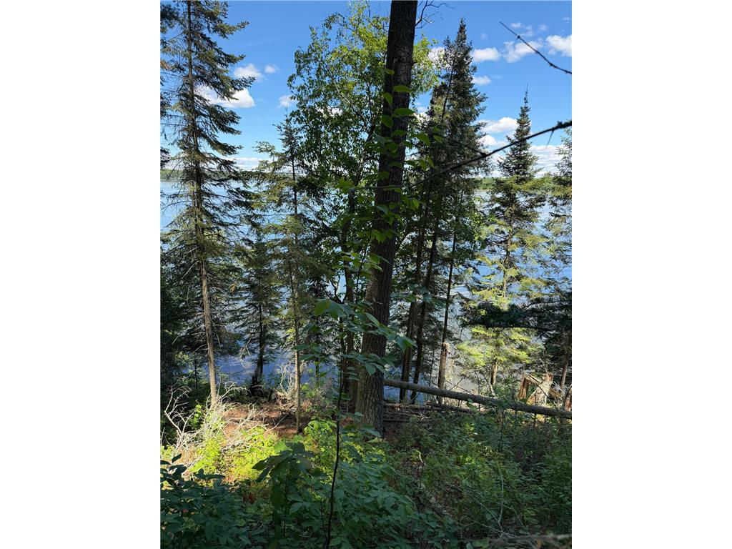 tbd Muskie Bay Road NE Wabedo Twp MN 56655 - Wabedo 7085591 image13