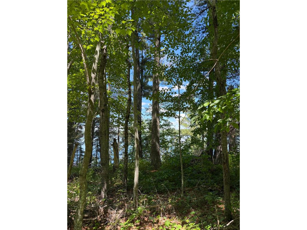 tbd Muskie Bay Road NE Wabedo Twp MN 56655 - Wabedo 7085591 image14