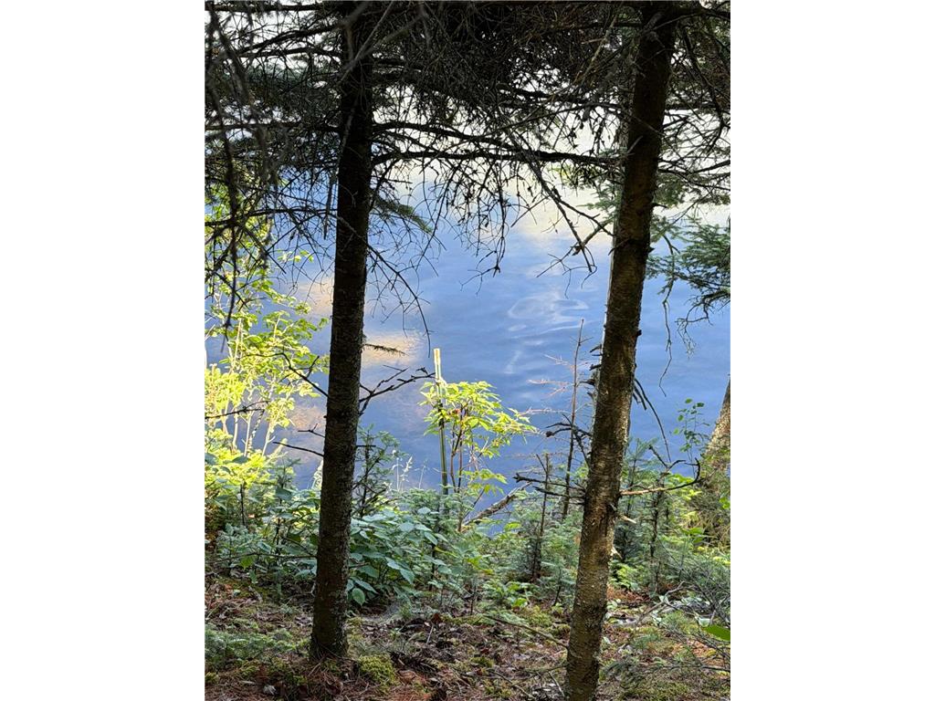tbd Muskie Bay Road NE Wabedo Twp MN 56655 - Wabedo 7085591 image6