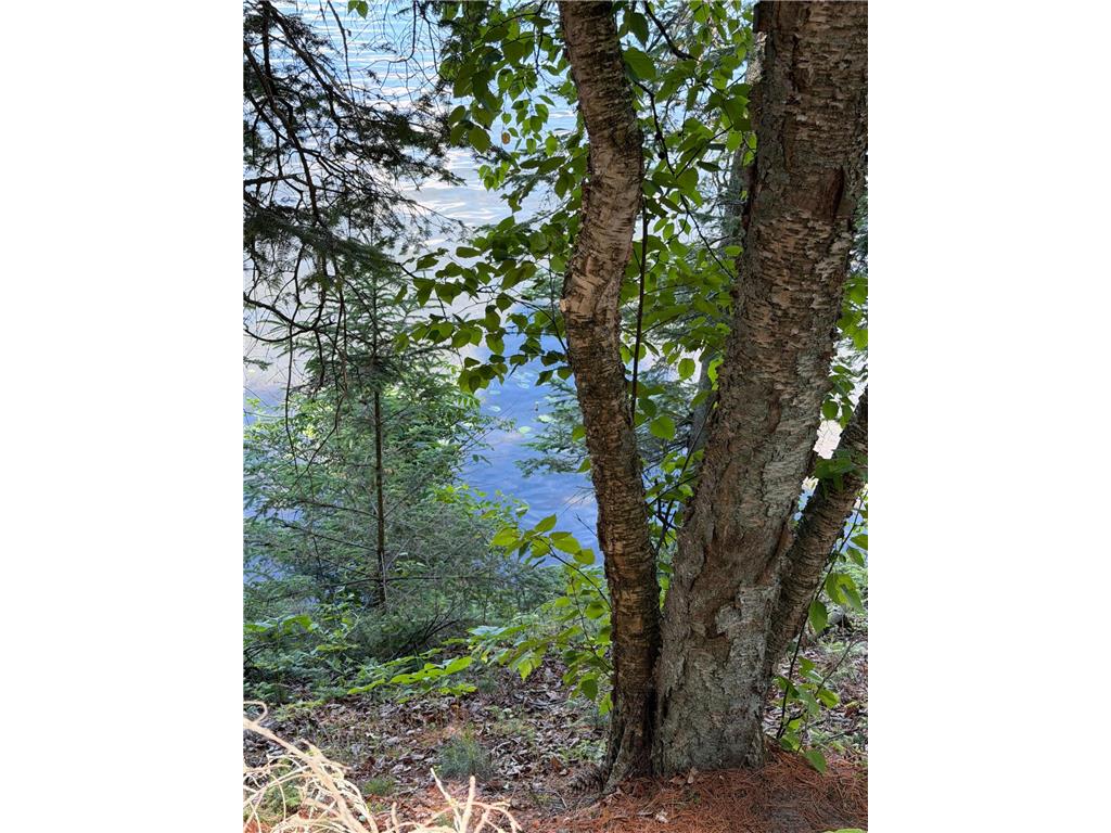 tbd Muskie Bay Road NE Wabedo Twp MN 56655 - Wabedo 7085591 image7
