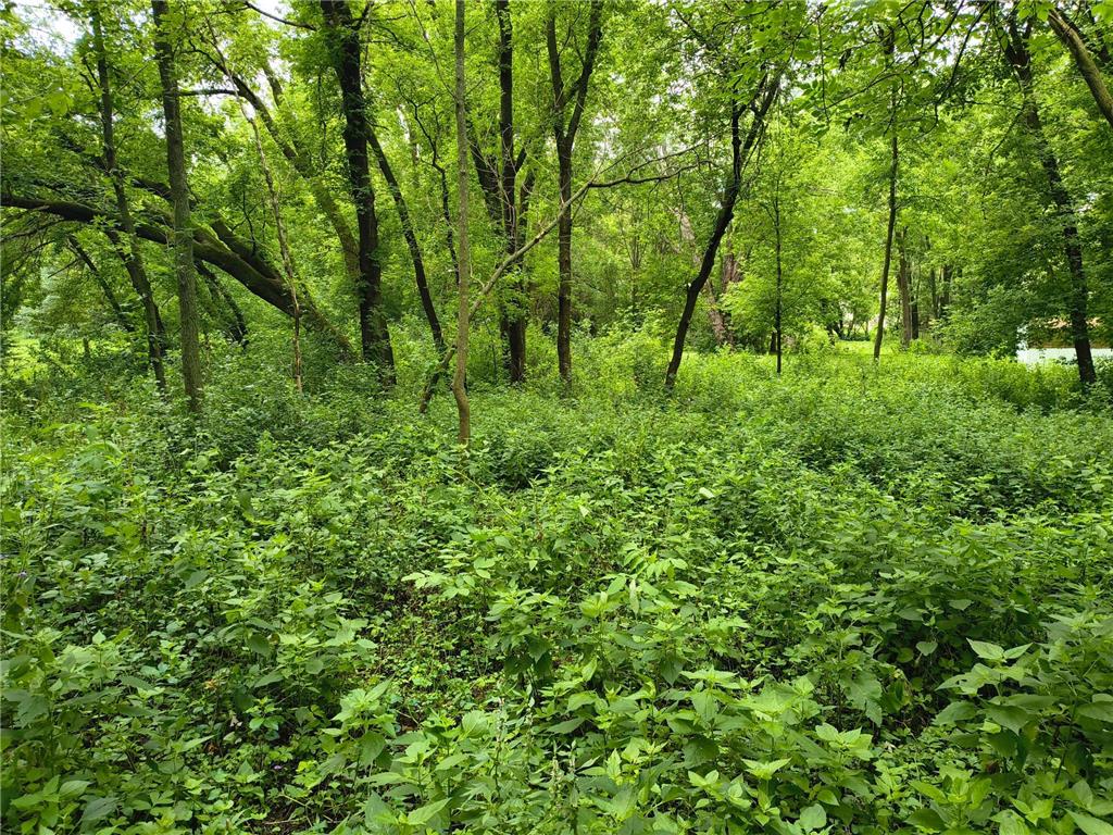 tbd NE 4th St Glenwood MN 56334 7106000 image1