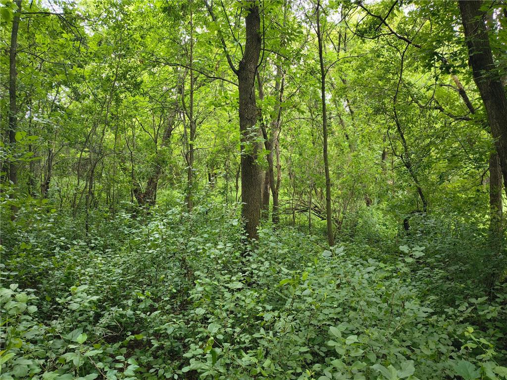 tbd NE 4th St Glenwood MN 56334 7106000 image3