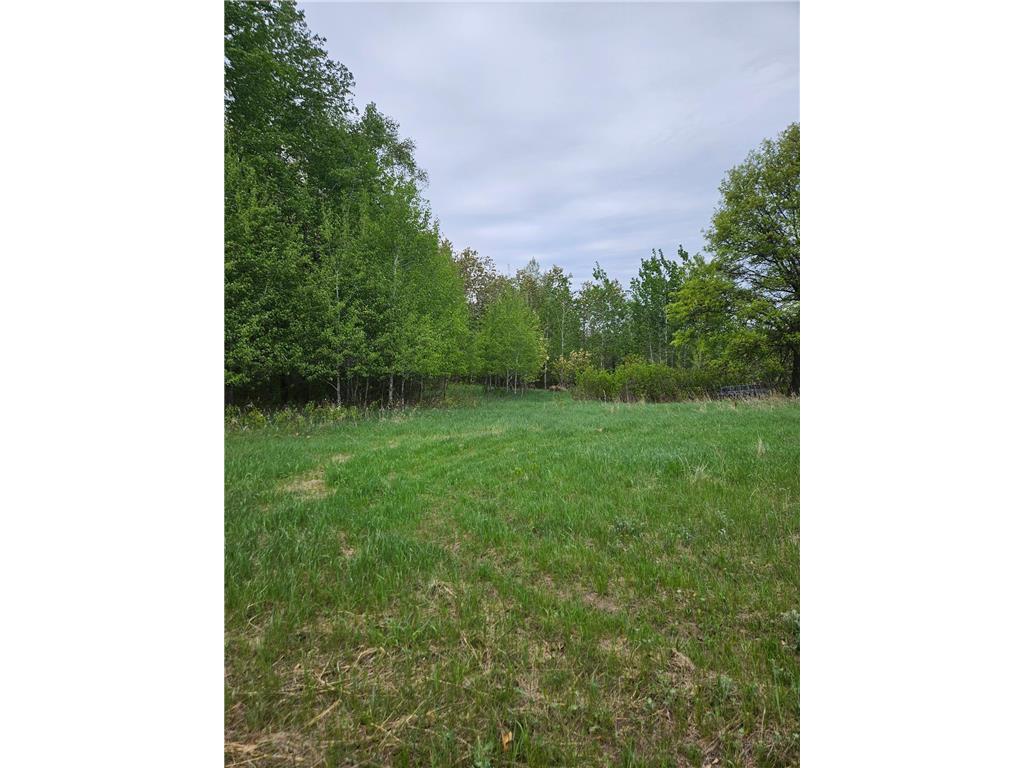 tbd Pillager Creek Trail SW Sylvan Twp MN 56473 - Pillager 6717618 image2