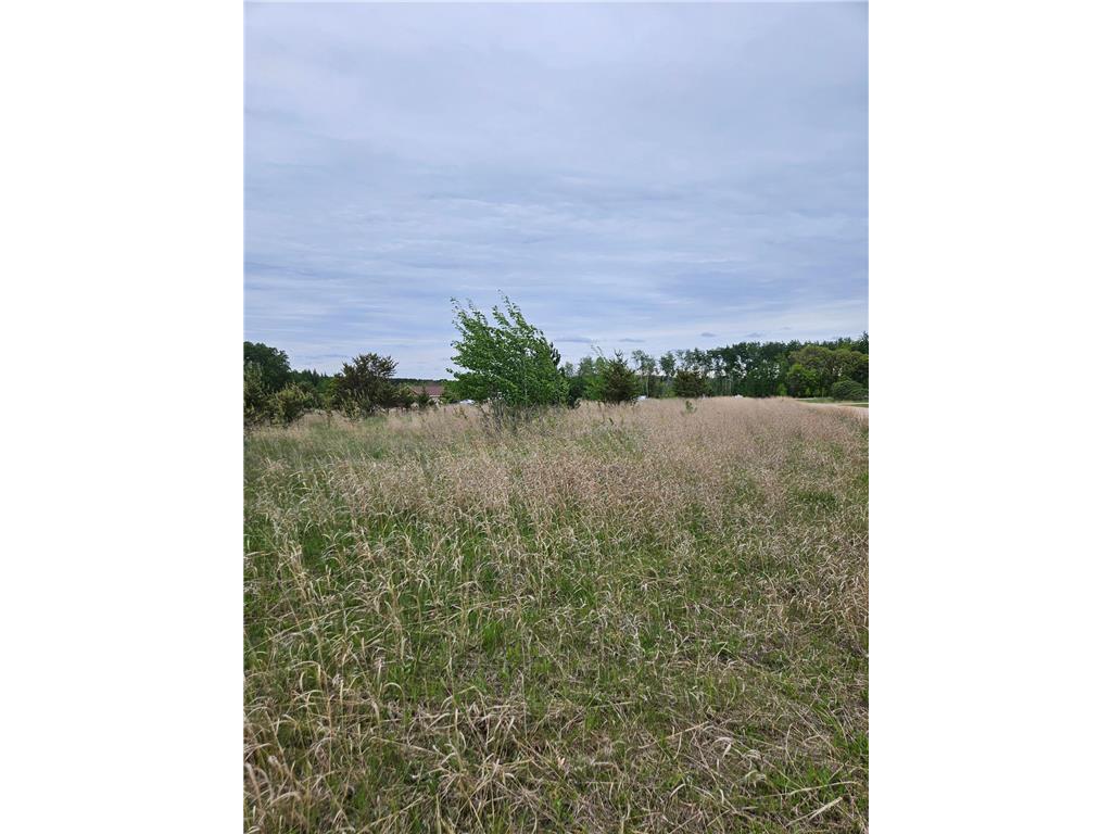 tbd Pillager Creek Trail SW Sylvan Twp MN 56473 - Pillager 6717618 image3