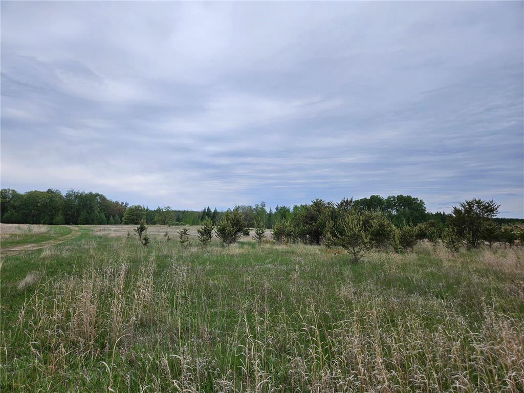 tbd Pillager Creek Trail SW Sylvan Twp MN 56473 - Pillager 6717618 image4