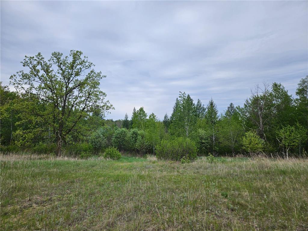 tbd Pillager Creek Trail SW Sylvan Twp MN 56473 - Pillager 6717618 image7