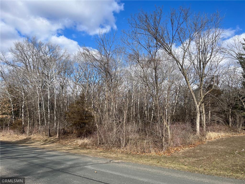 tbd Putting Avenue Ravenna Twp MN 55033 6502344 image1