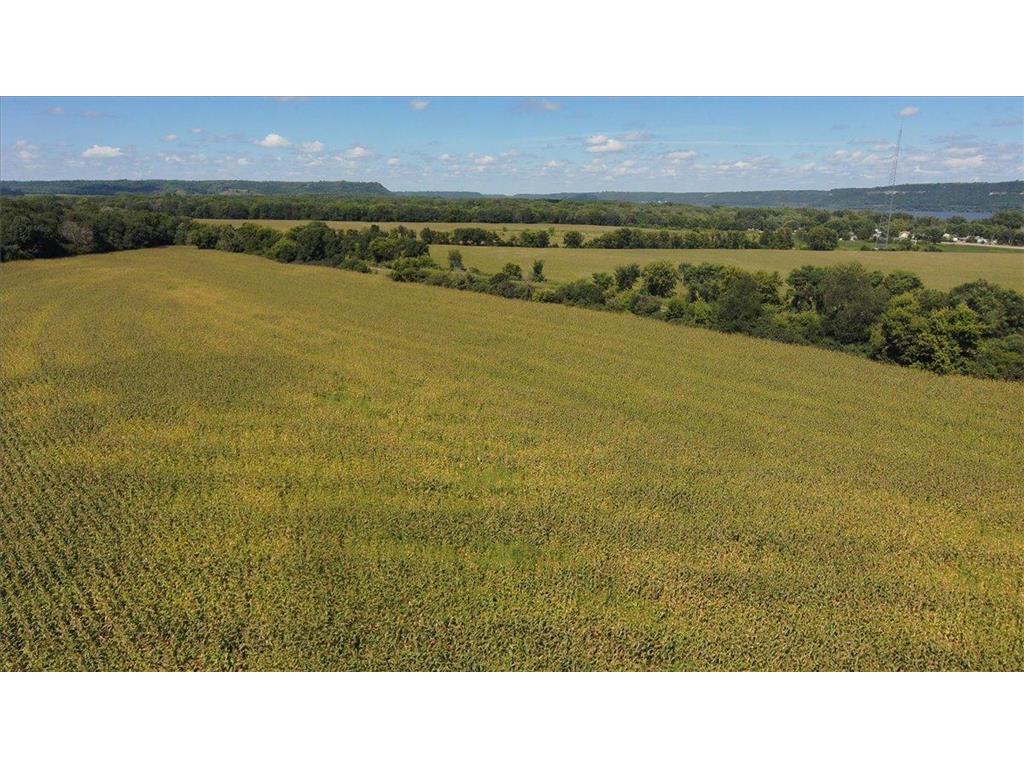 tbd Staehli Park Road Lake City MN 55041 6765969 image7