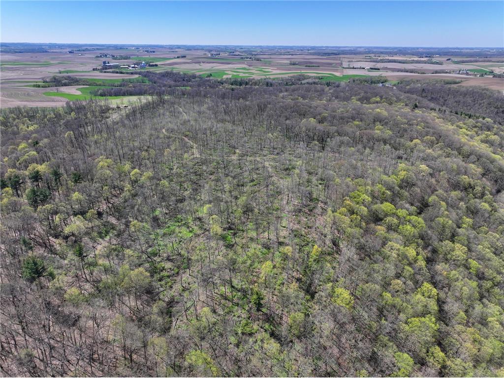 tbd Tierney Drive Saint Charles MN 55910 7064065 image1